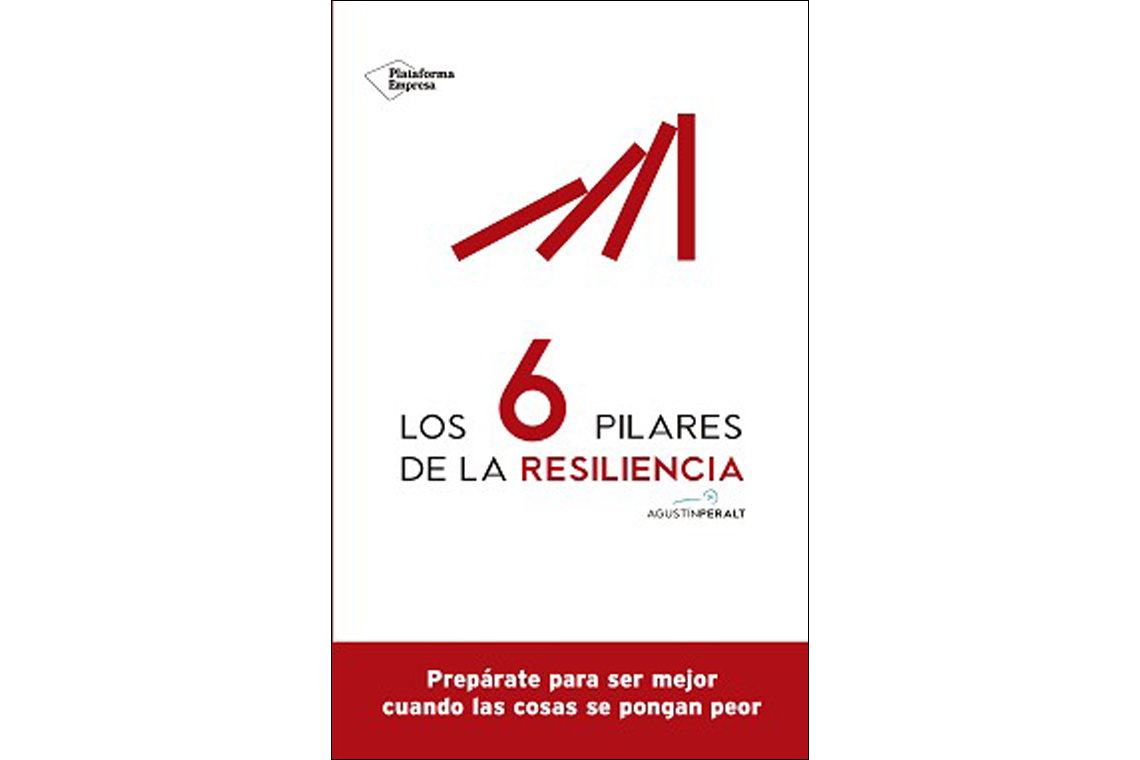 Los Seis Pilares De La Resiliencia 6271