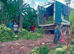 Fundación la Caixa cooperación en Amazonia